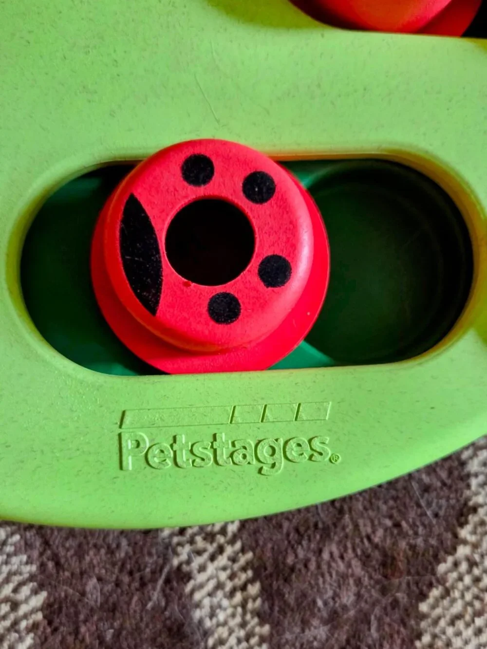The Catstages Nina Ottosson Buggin' Out Puzzle & Play green Pink Leaf Ladybug